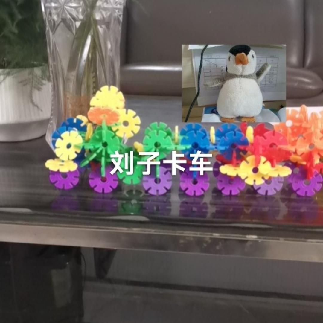 苏紫淇