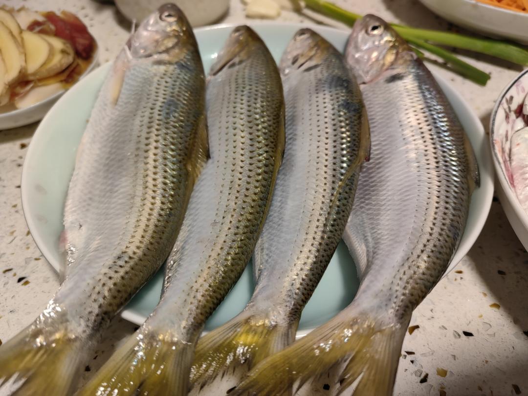 古法蒸长江鲥鱼