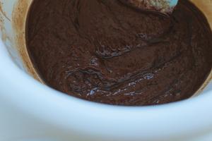 黑朗姆酒双重巧克力蛋糕的做法 步骤9