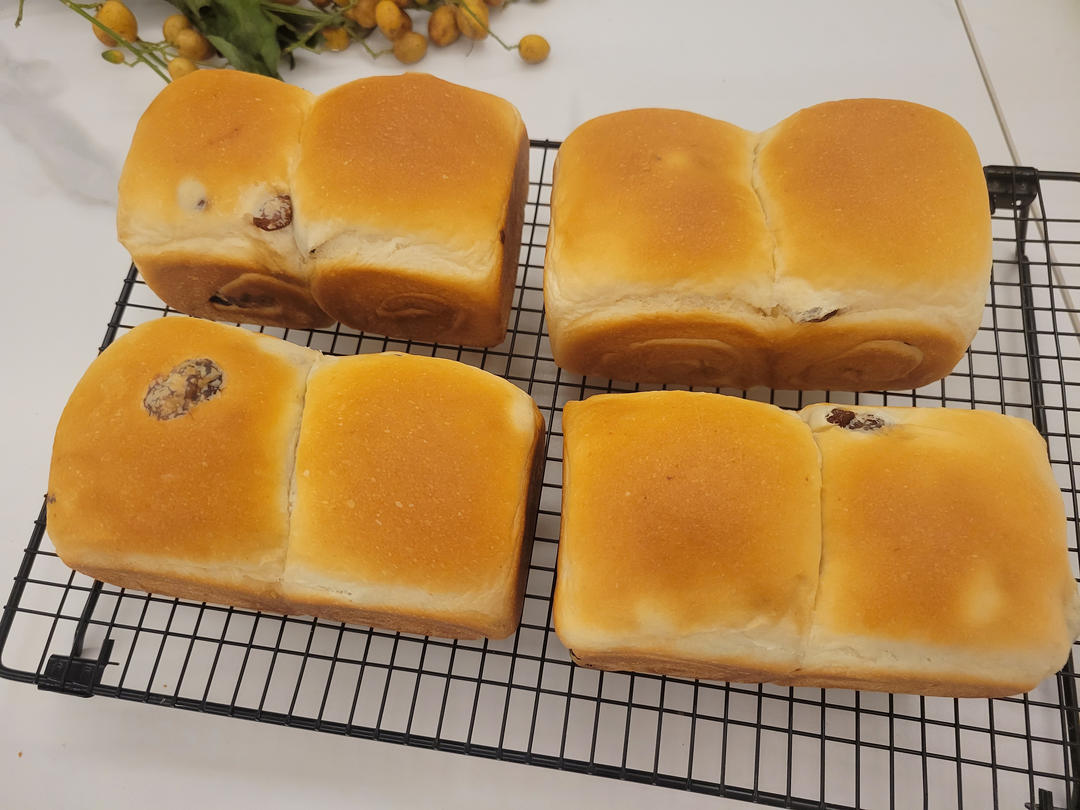 提子吐司，黄提奶油闪亮吐司