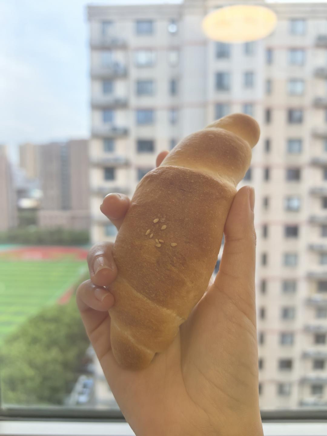 零失败盐面包（低油低糖，慢熟成，有机版）牛奶鸡蛋过敏者推荐使用