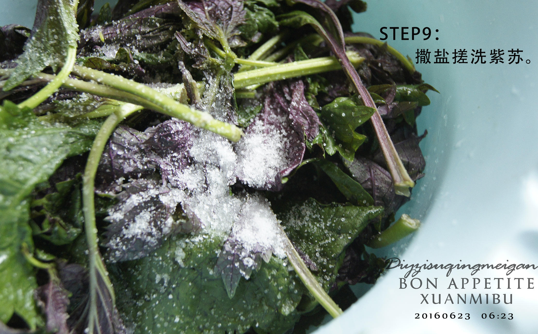 日式紫苏青梅（玄米布版）的做法 步骤10