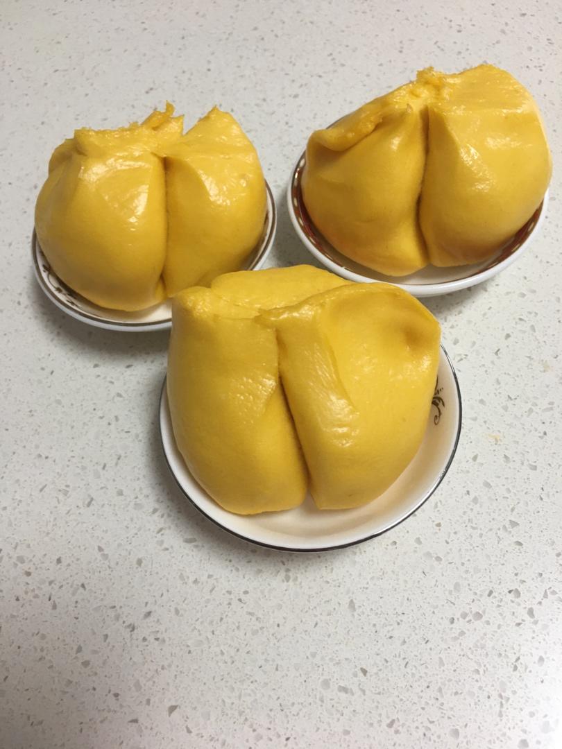 发酵面团-唯美自然的开花苞