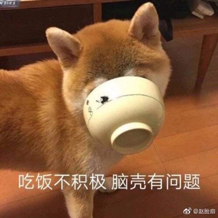 Zoe爱吃