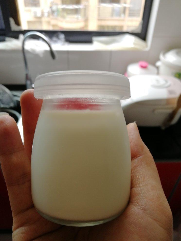 椰奶冻