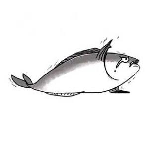 放猩猩的小绵羊