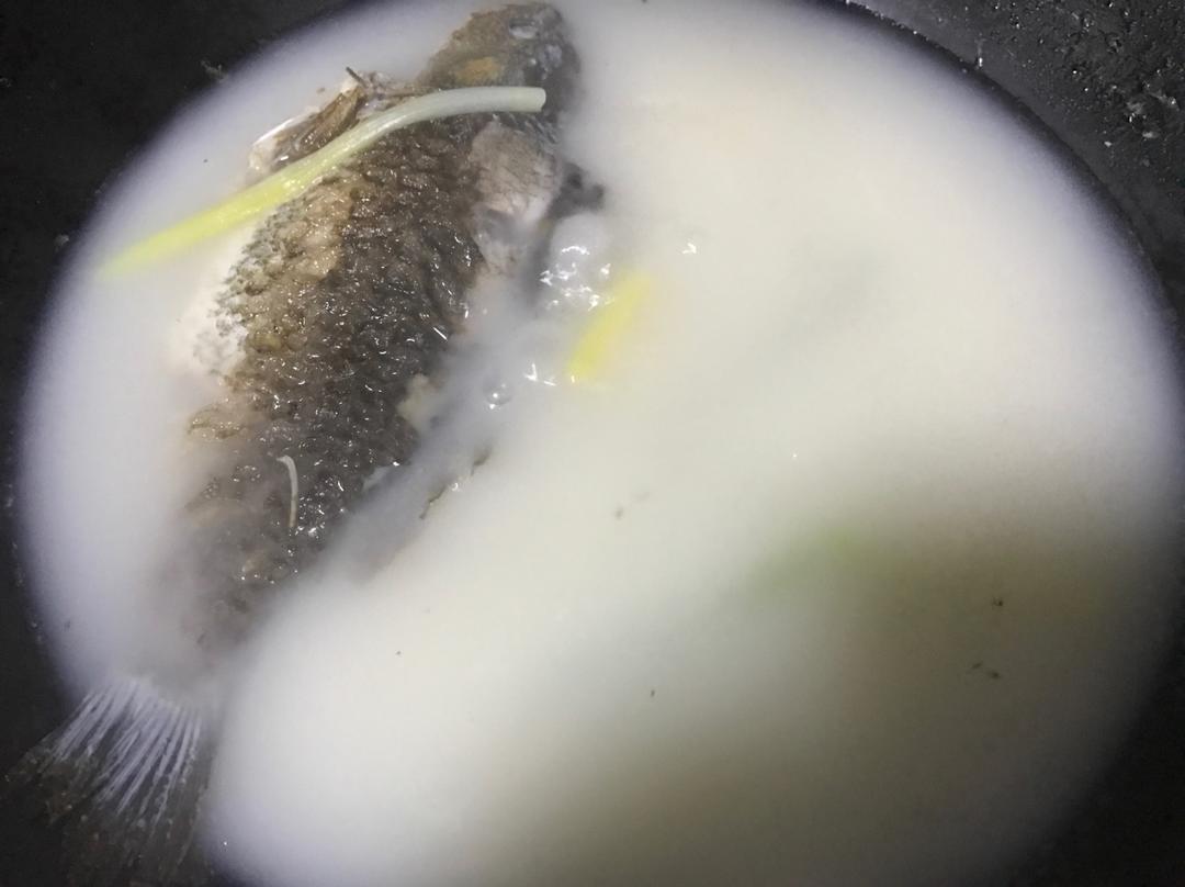 鲫鱼汤