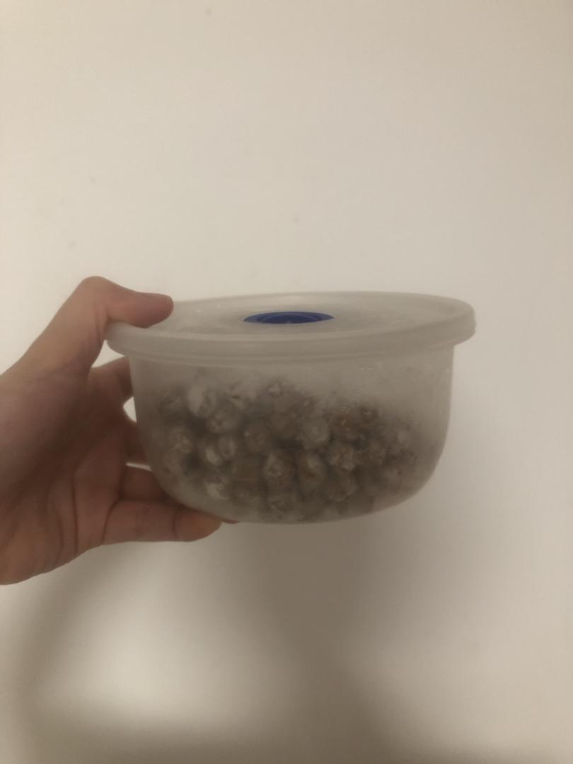 珍珠奶茶的珍珠（附快速成型方法）