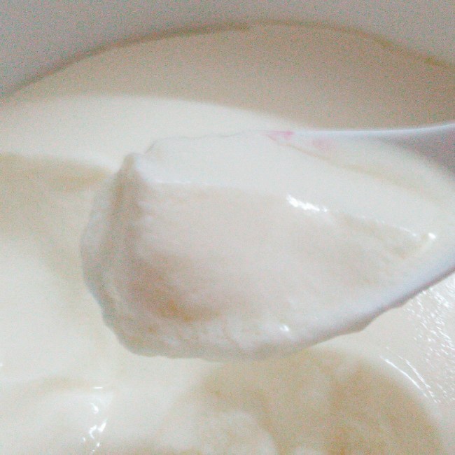 自制老酸奶
