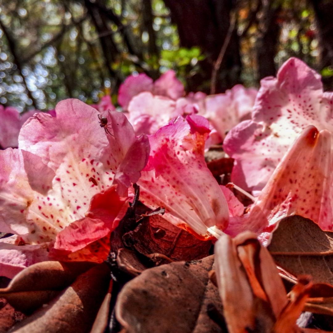 手机用户4210_g61c的厨房