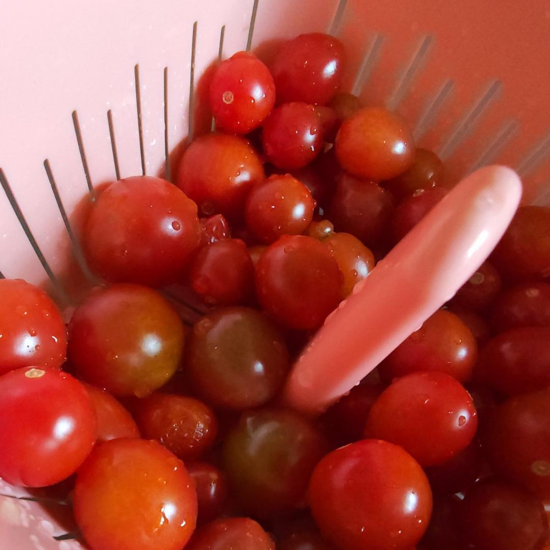 家常青椒炒番茄🍅