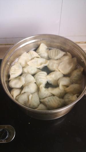 ［家的味道］好吃不如饺子——韭菜猪肉水饺的做法 步骤14