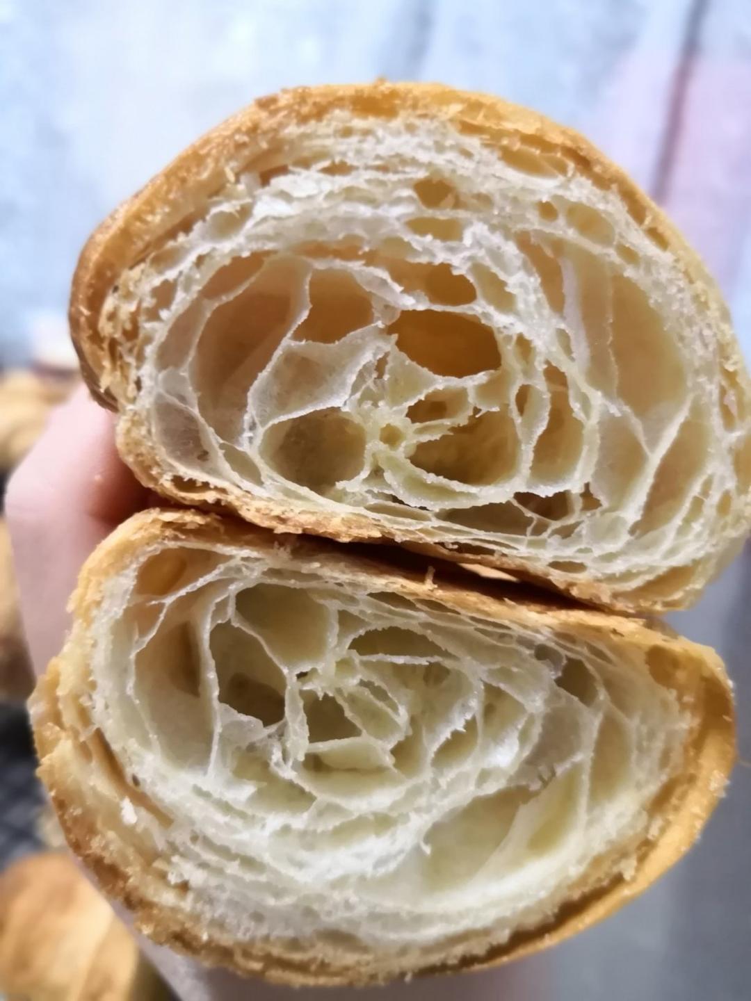 科学猜想——可颂全解密