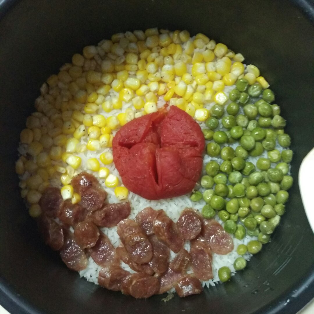 一只番茄饭