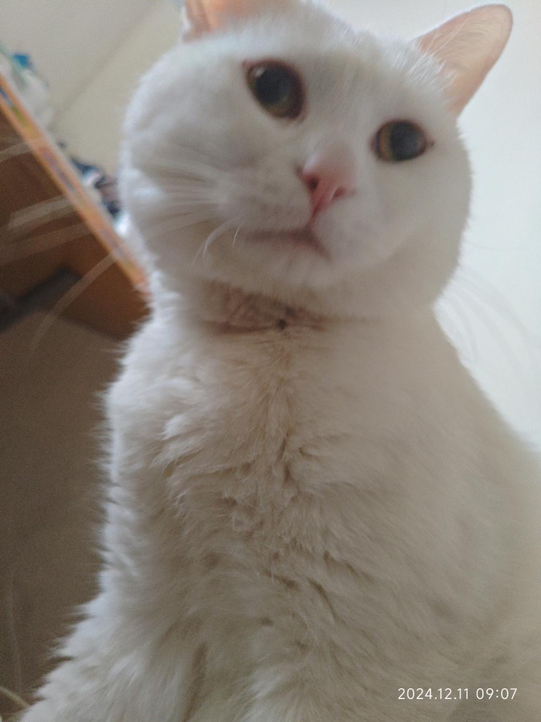 云至上