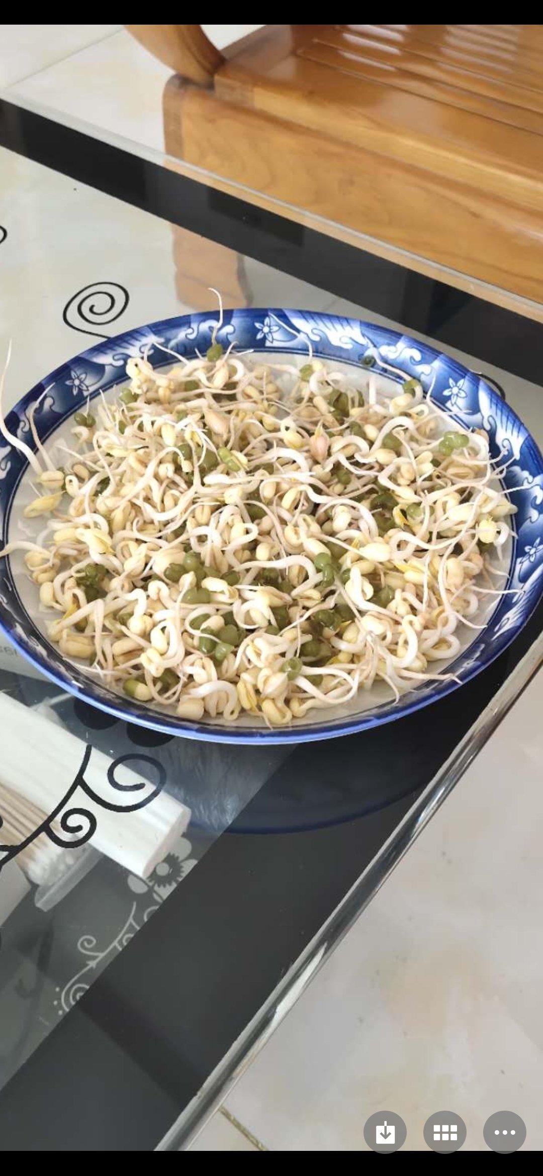 绿豆芽只有自己发的才好吃