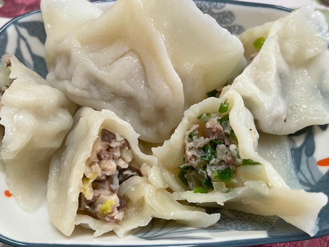 韭菜冬瓜猪肉饺子🥟