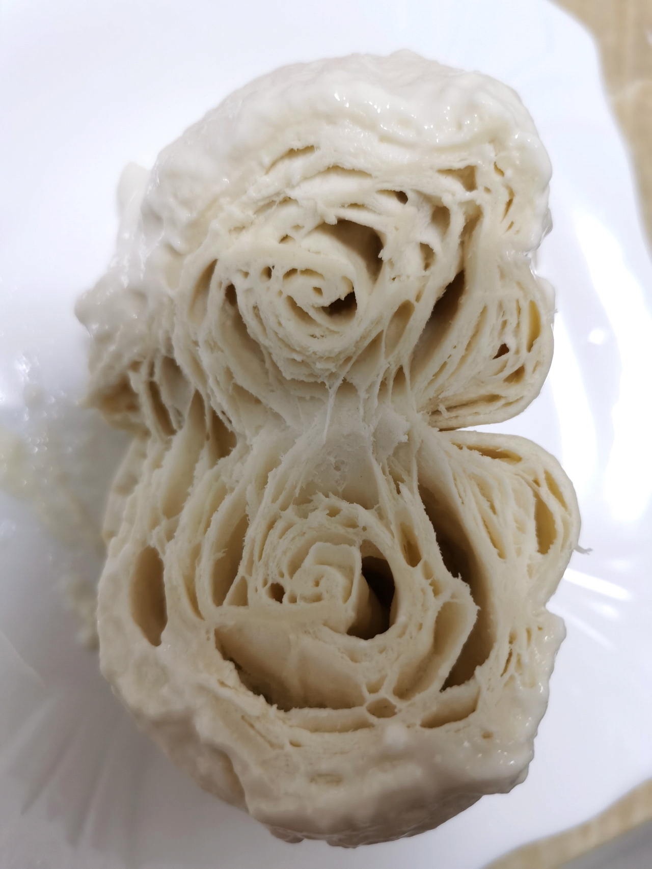 意大利水式酵母（Pasta Madre)