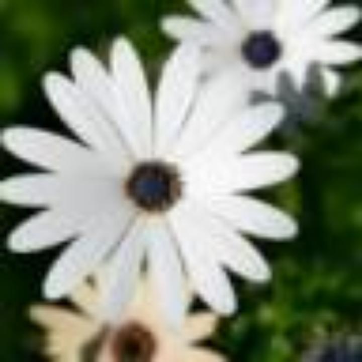 手机用户9799_bv0k