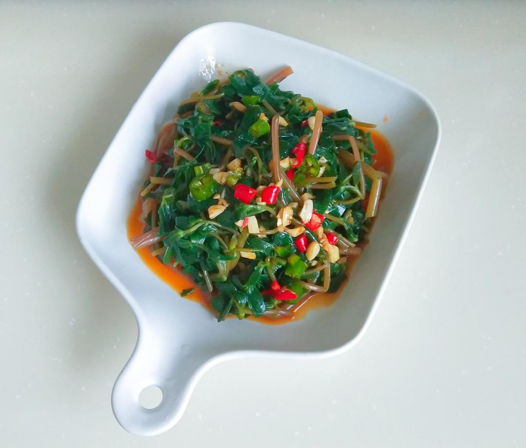 凉拌马马菜（凉拌马齿苋）