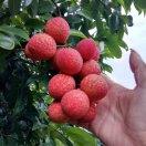 手机用户3137_25ne