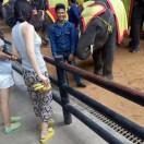 大白兔可真好啊