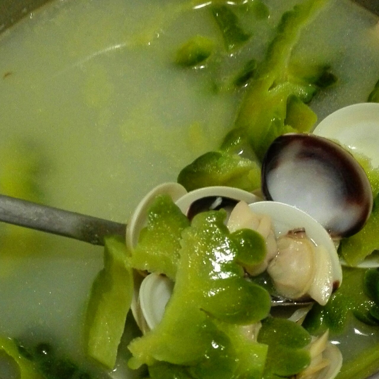 knight2000做的白贝苦瓜汤