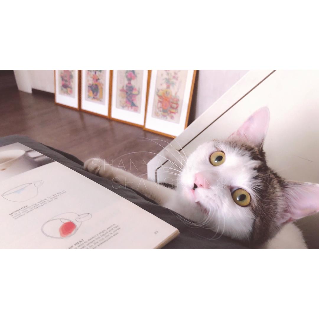 花点时间