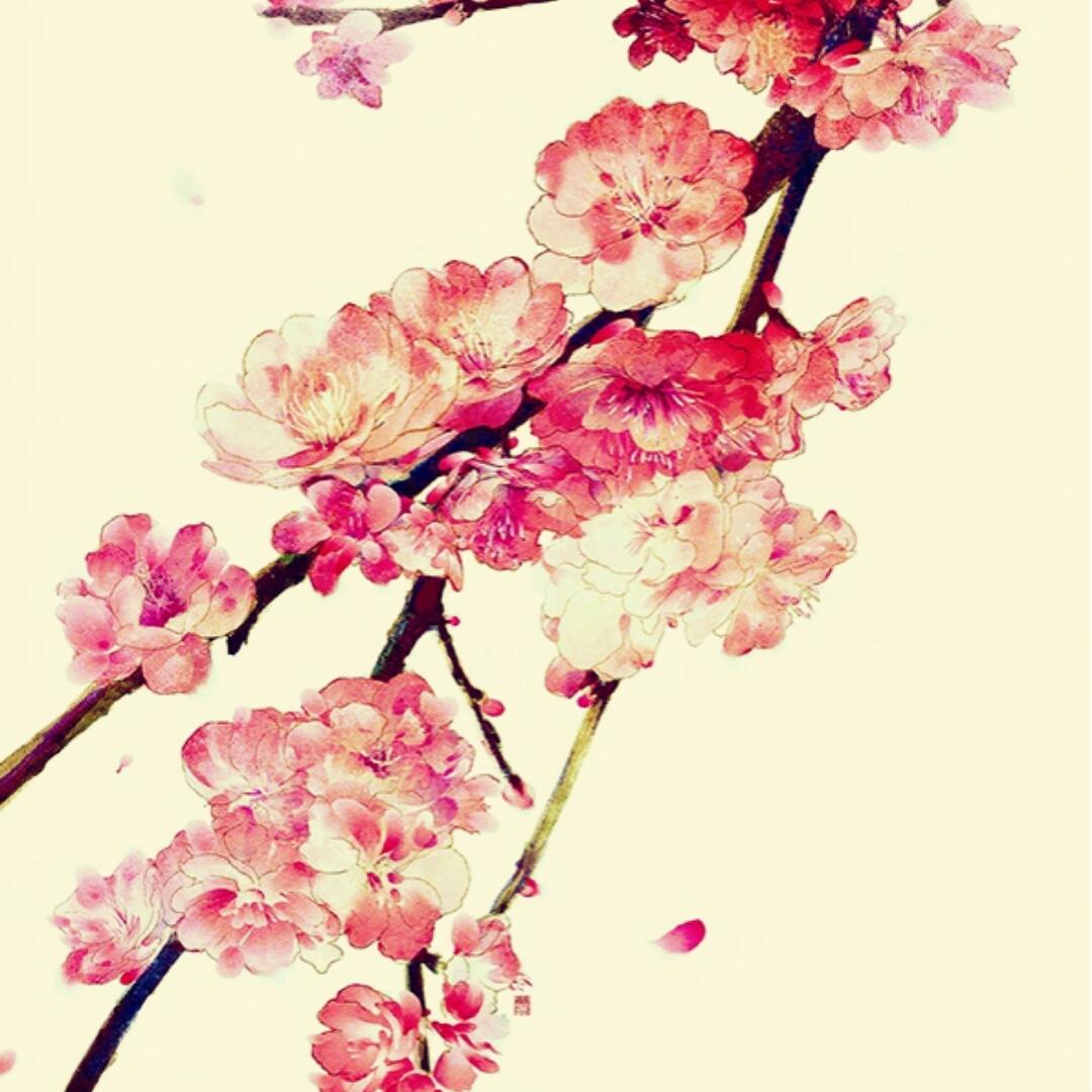 花影月斜