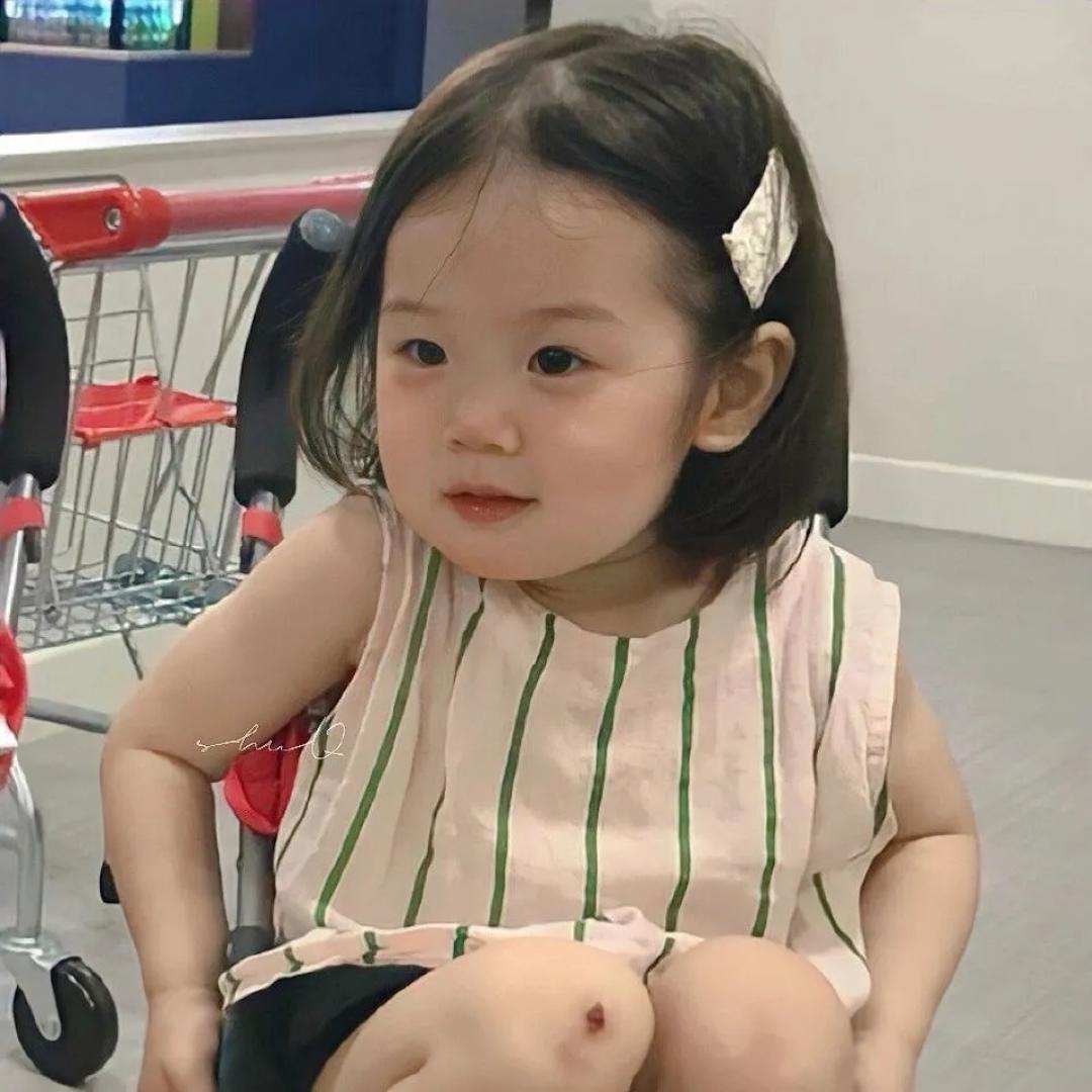 努力的橘子猪