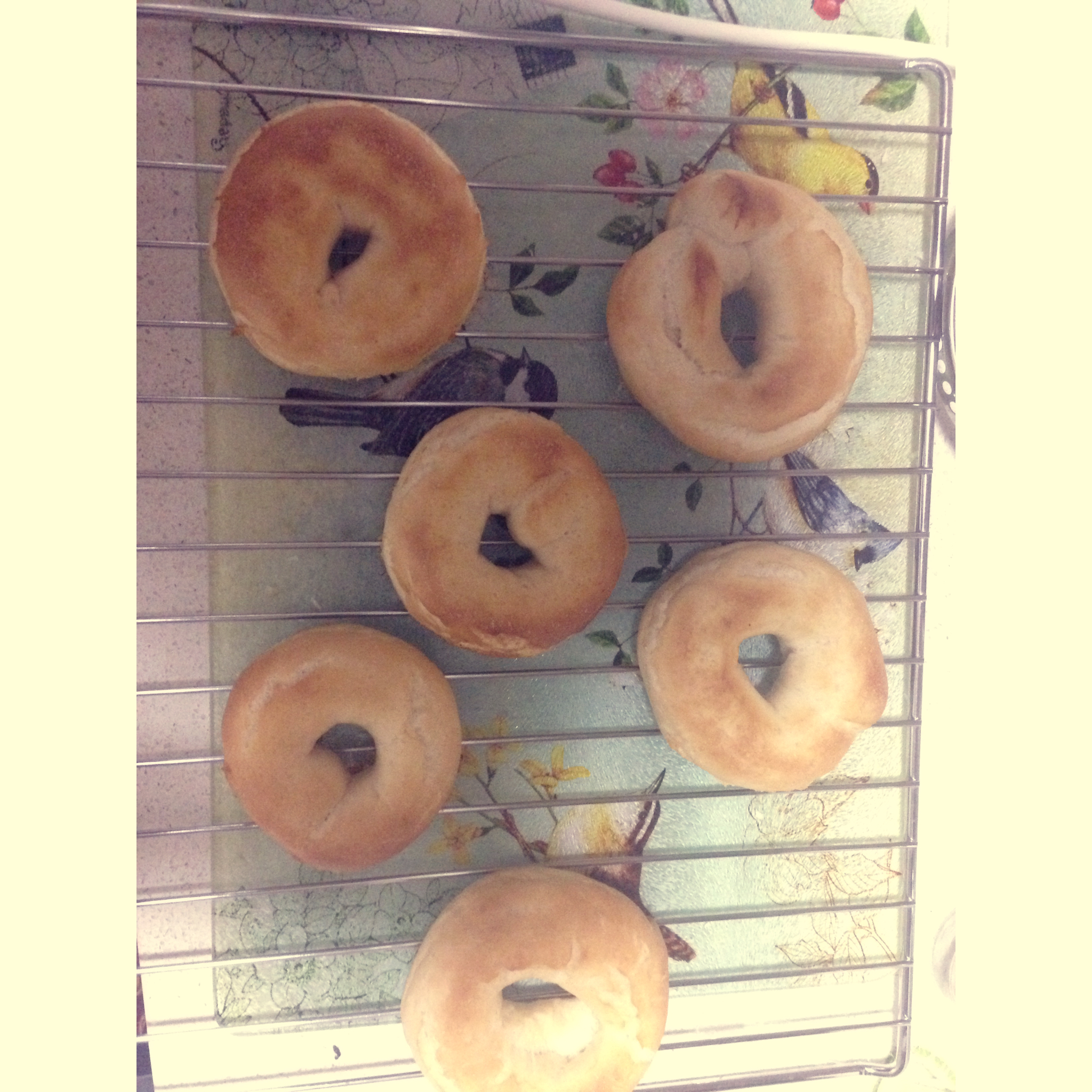 贝果新手看过来——超详细基础贝果每步注意事项