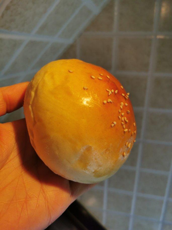 汉堡胚 poolish（波兰种）