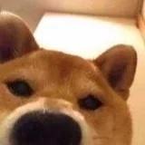 我知三人喜欢你