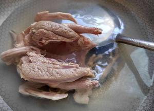 羊肚菌鸽子汤的做法 步骤1
