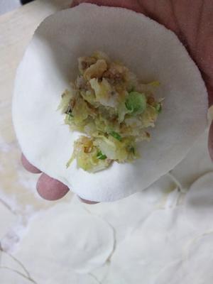 白菜油渣饺子（猪油渣最好吃的方法）的做法 步骤15
