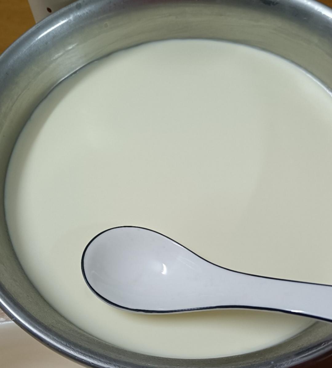 火爆全网的奶皮子酸奶零基础做法