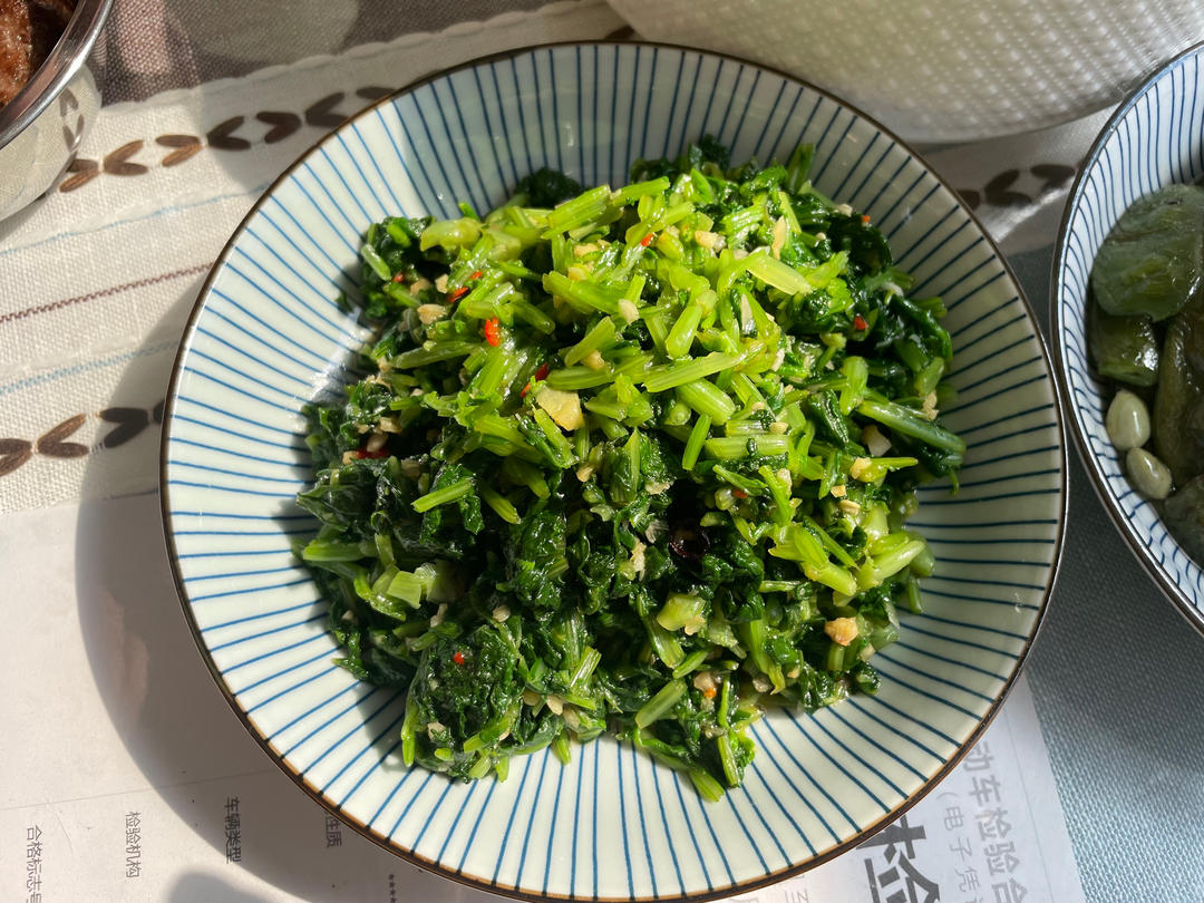 春天种萝卜苗——凉拌萝卜苗