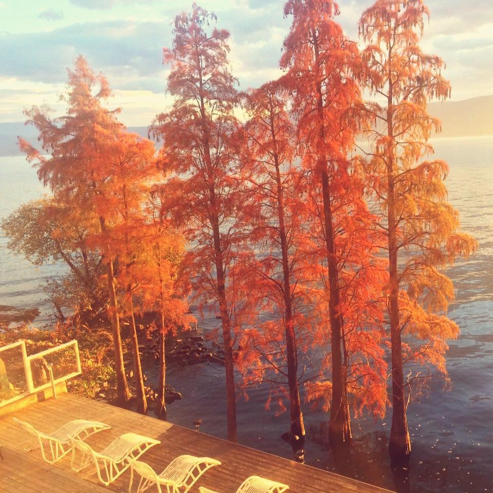 大理远山近水客栈