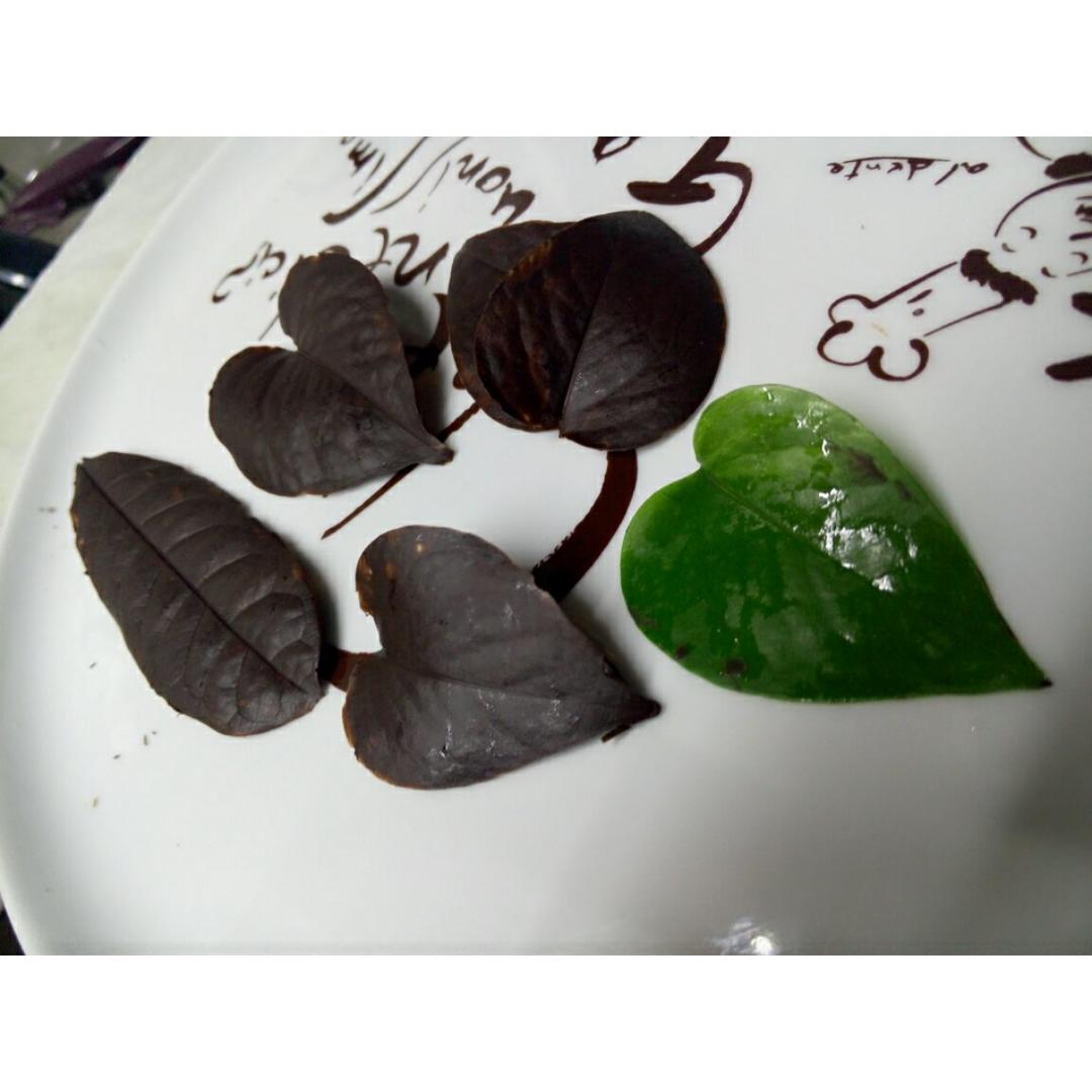 巧克力树叶