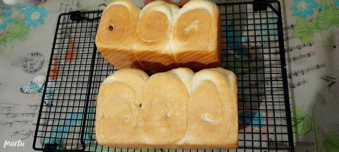 零失败最简单的汤种吐司的做法