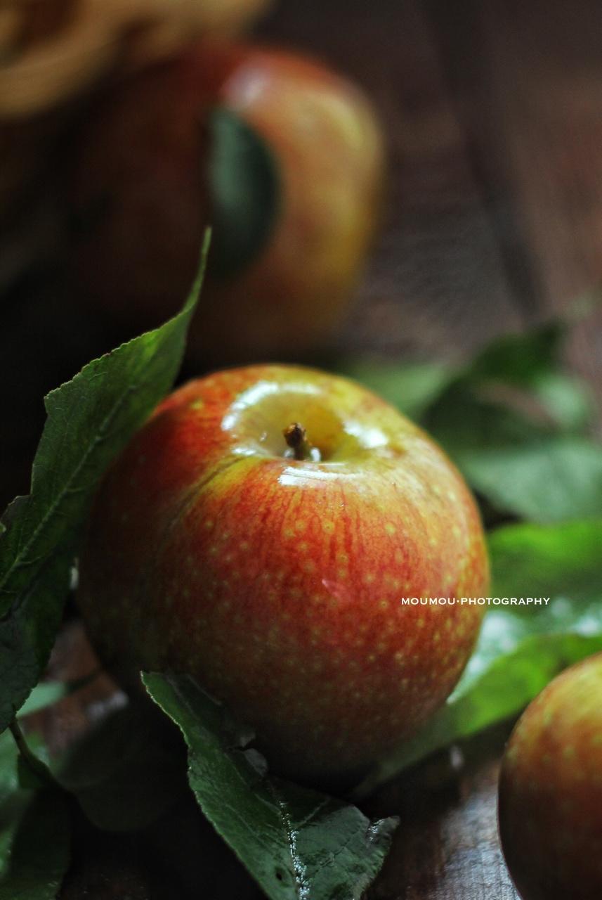 那些年，我们一起吃的蔬果香料君