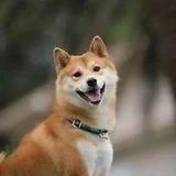幸福家妍