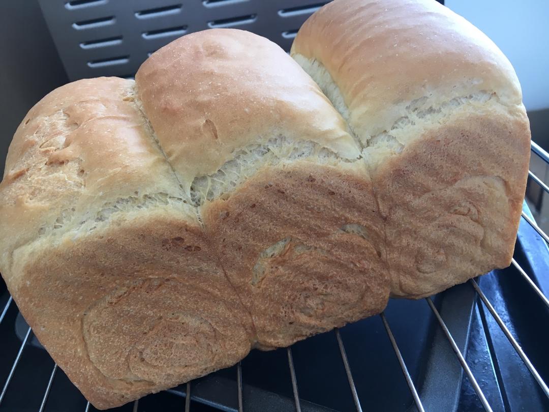 全麦波兰酵头吐司