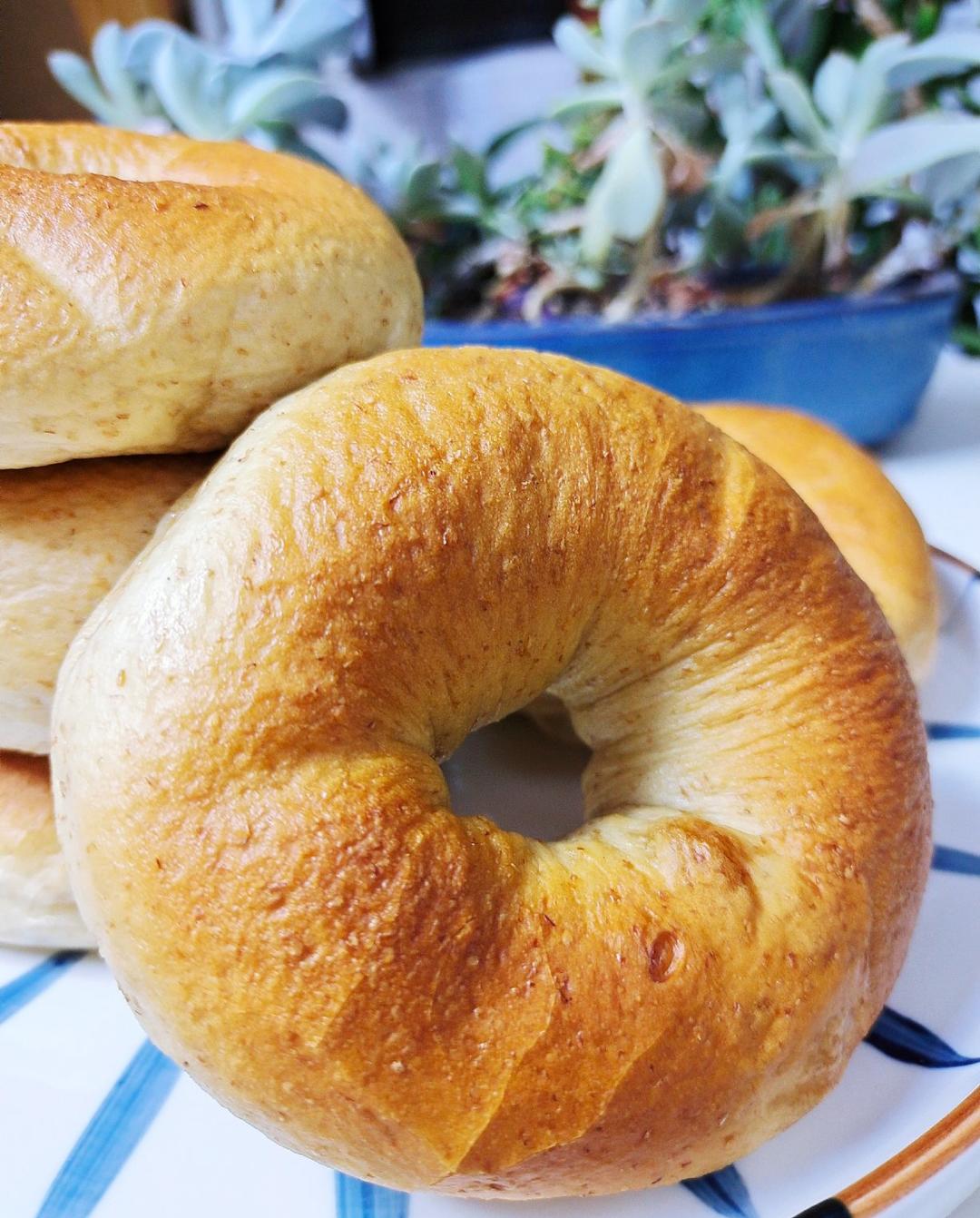 （无油）全麦黑麦贝果bagel~咬劲十足，越嚼越香