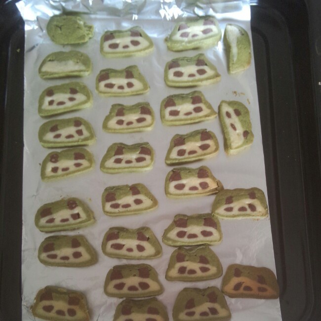 熊猫饼干