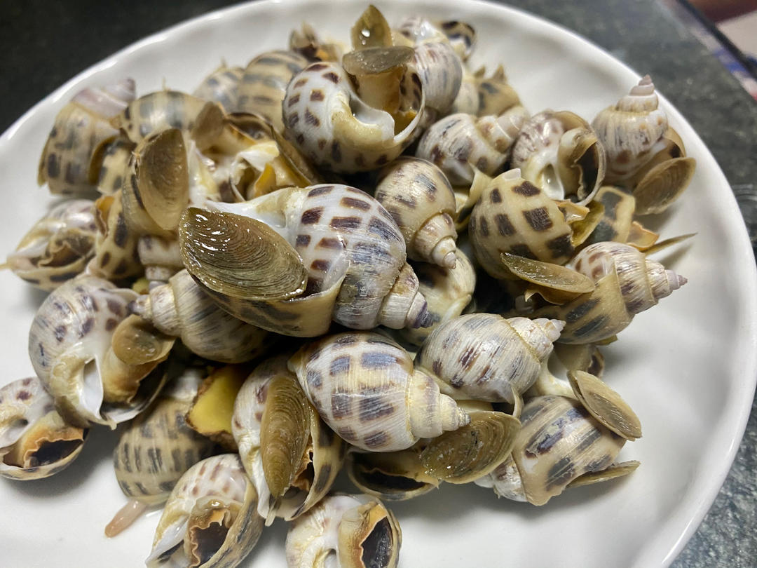 原味香螺(白灼)