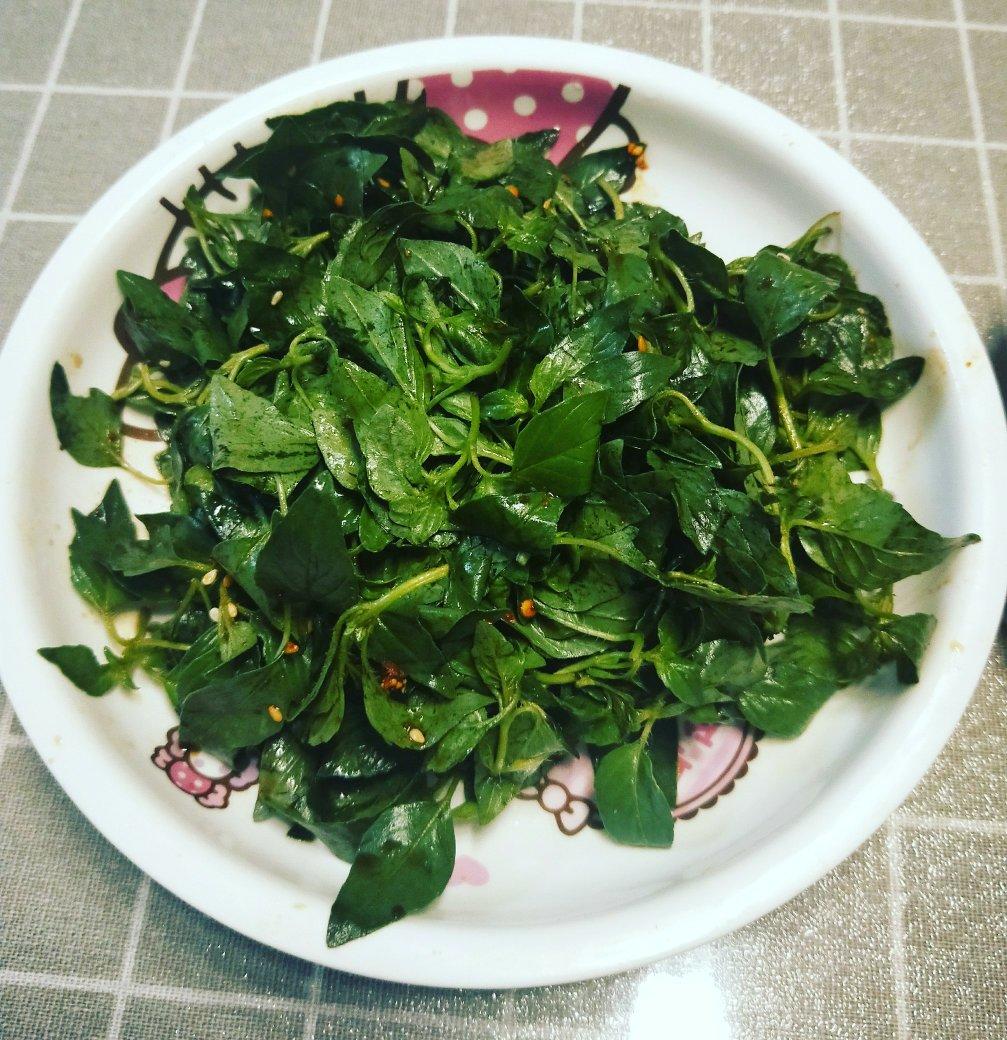 休休miumiu做的凉拌荆芥