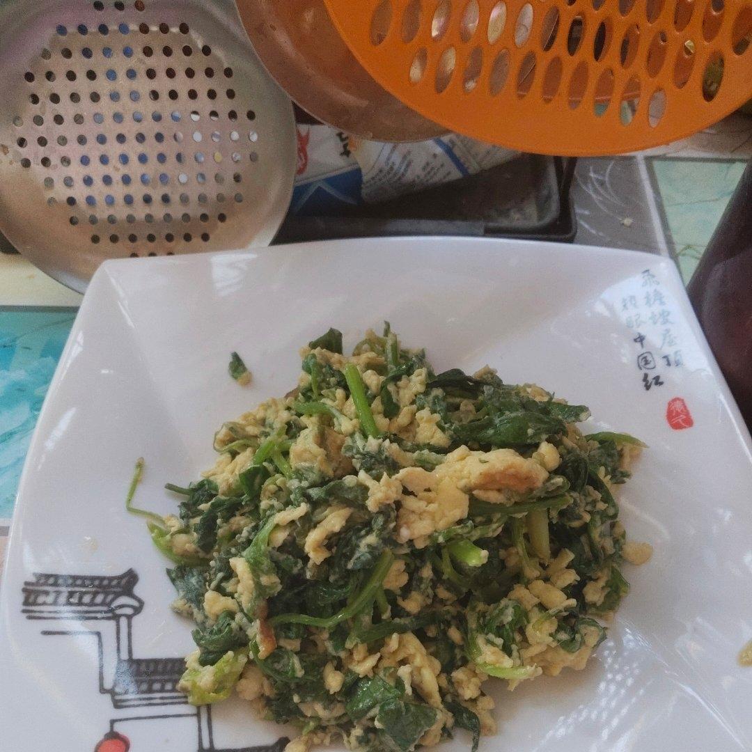 小婷食光🔆芹菜叶炒鸡蛋
