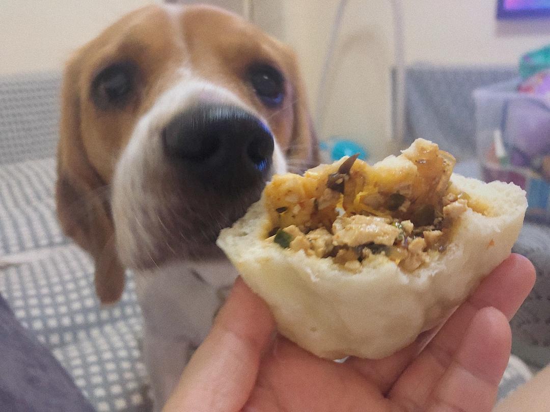 麻婆豆腐粉丝包