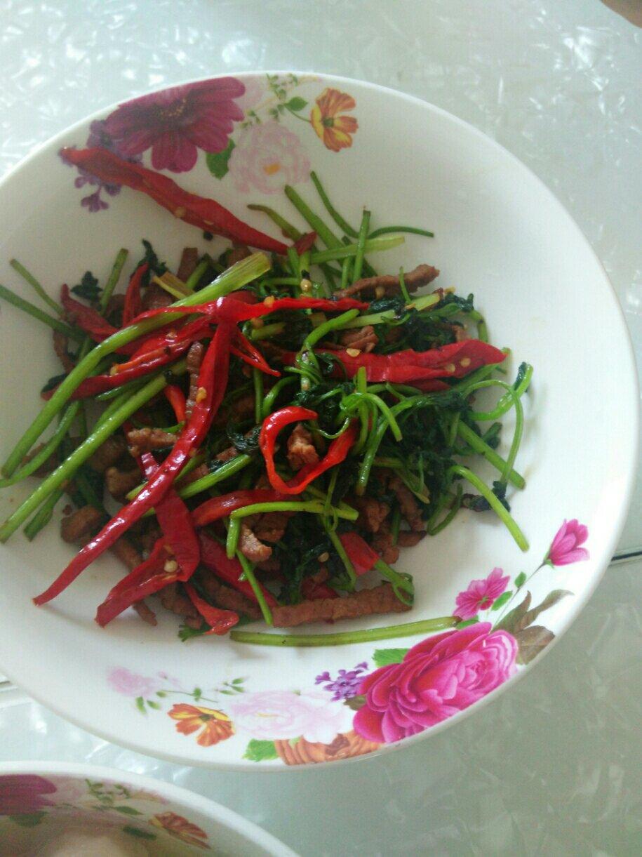 【健康三餐】香菜炒牛肉